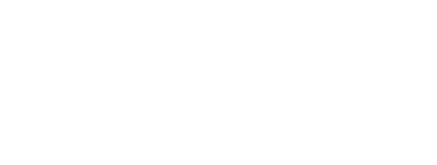 Grupo Presidente